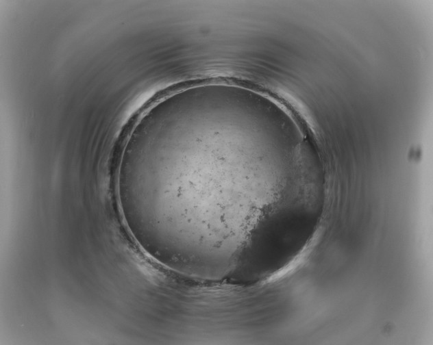 X0000091961023200709061257