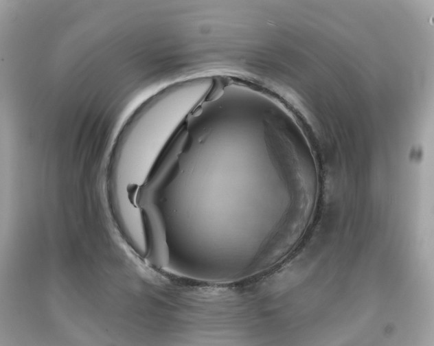 X0000091961024200709061257