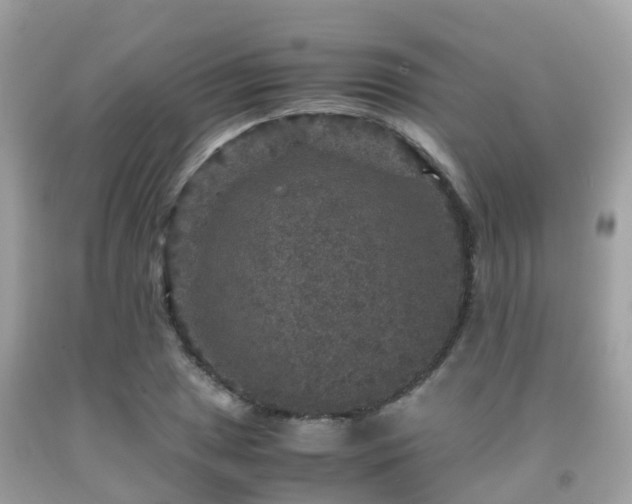 X0000091961025200709061257