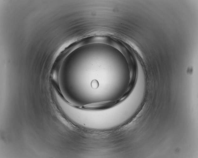 X0000091961026200709061257