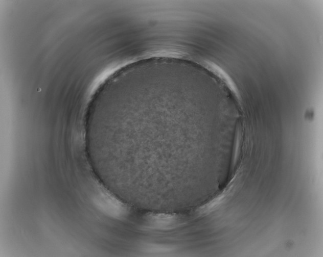 X0000091961027200709061257