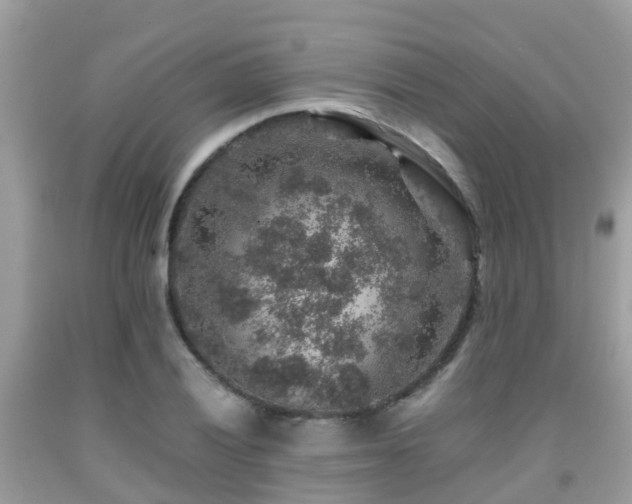 X0000091961028200709061257