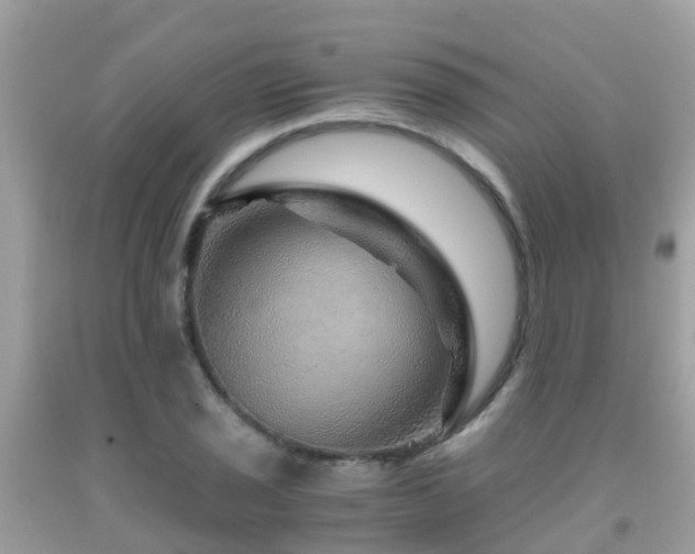 X0000091961029200709061257