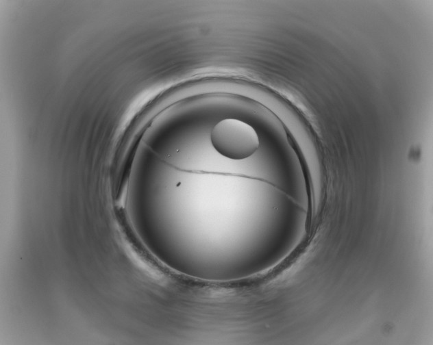 X0000091961030200709061257