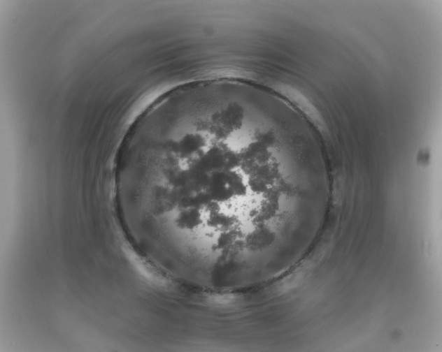 X0000091961031200709061257