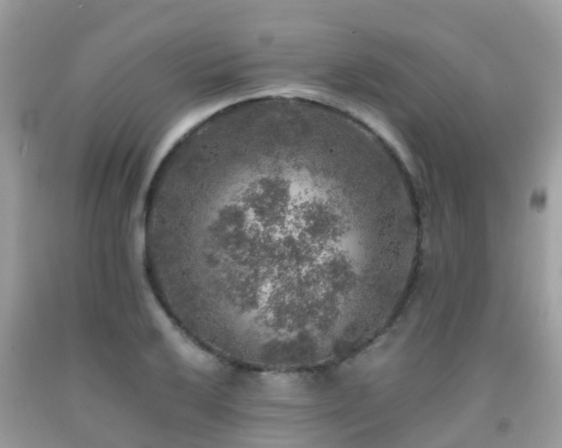 X0000091961032200709061257