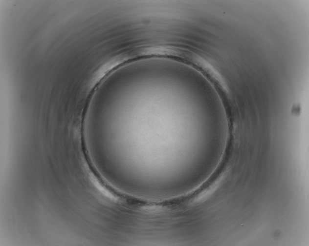 X0000091961033200709061257