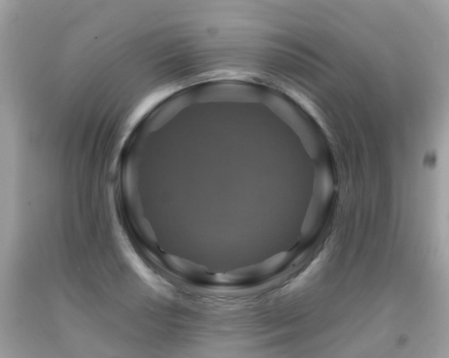 X0000091961034200709061257