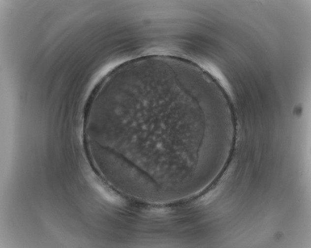 X0000091961035200709061257