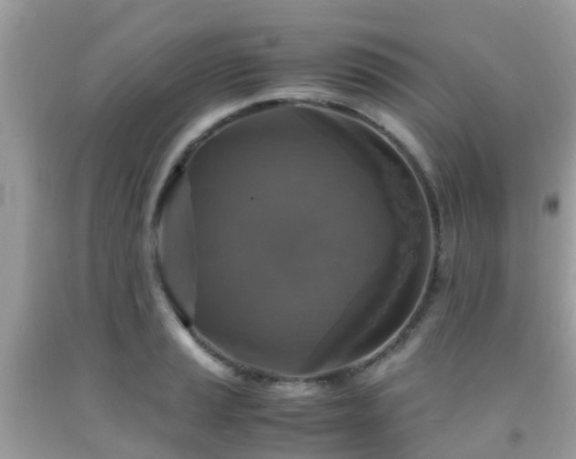 X0000091961037200709061257