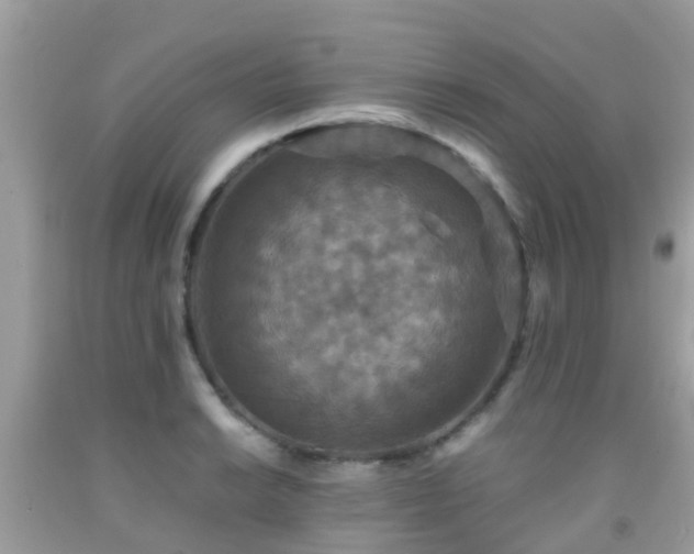 X0000091961038200709061257