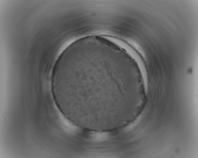 X0000091961039200709061257