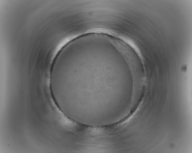 X0000091961040200709061257