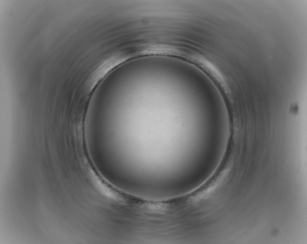 X0000091961041200709061257