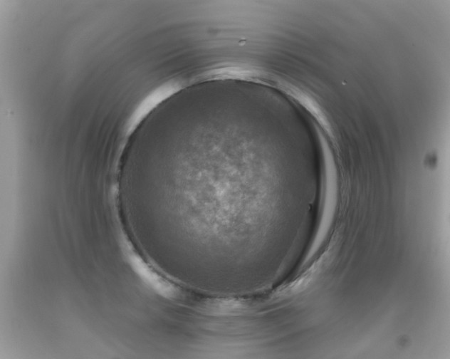 X0000091961042200709061257