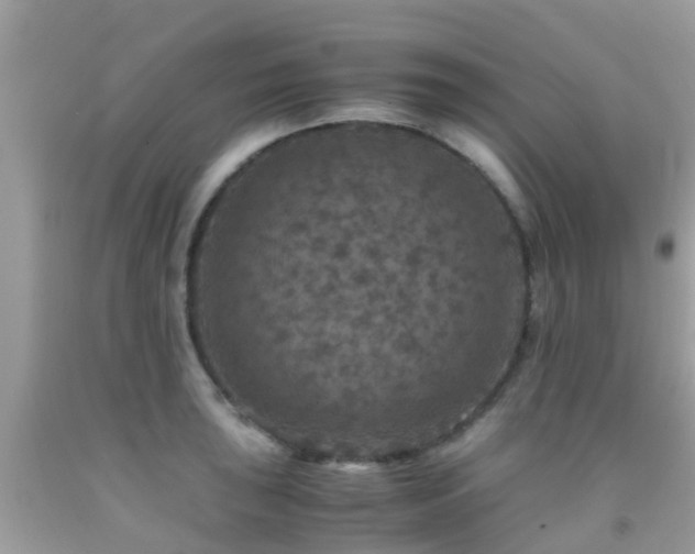 X0000091961043200709061257