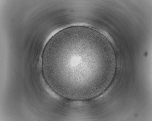 X0000091961044200709061257