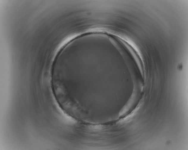 X0000091961045200709061257