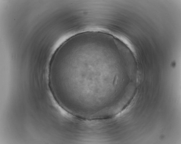 X0000091961046200709061257