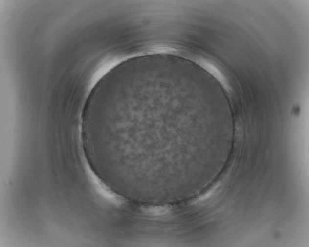 X0000091961047200709061257