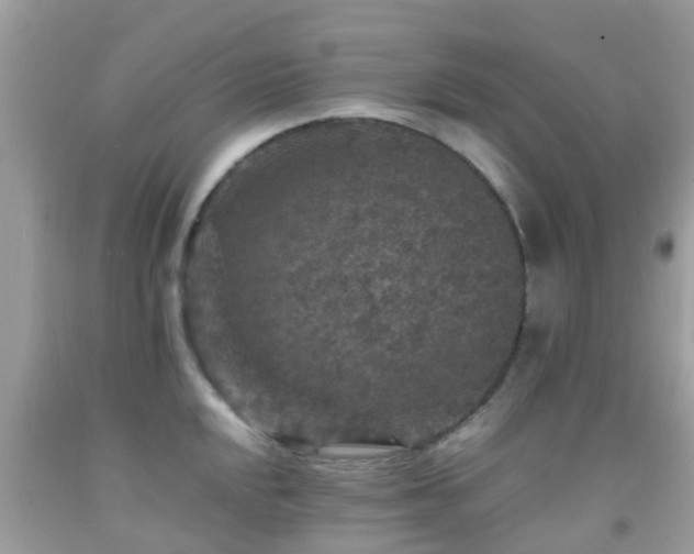 X0000091961048200709061257