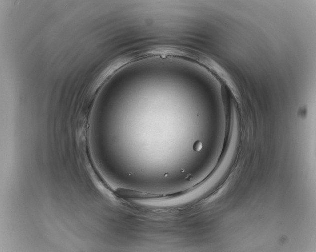 X0000091961049200709061257