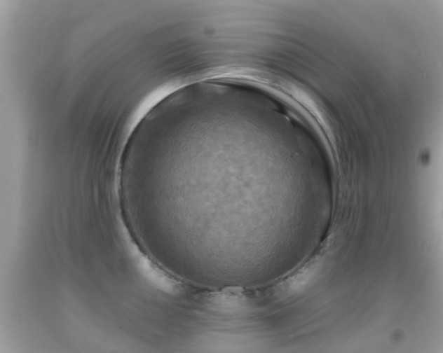 X0000091961050200709061257