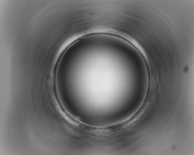 X0000091961053200709061258