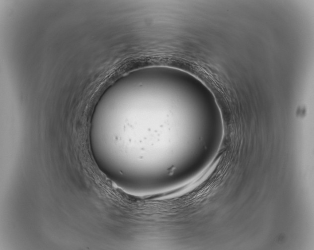 X0000091961057200709061257