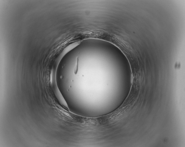 X0000091961058200709061257