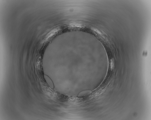 X0000091961059200709061257