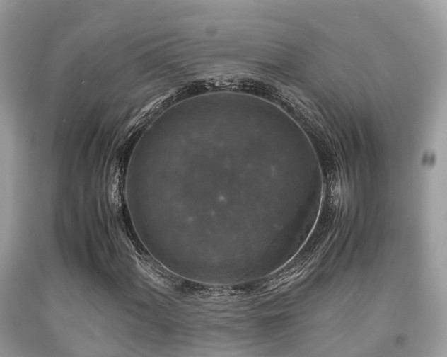 X0000091961060200709061257