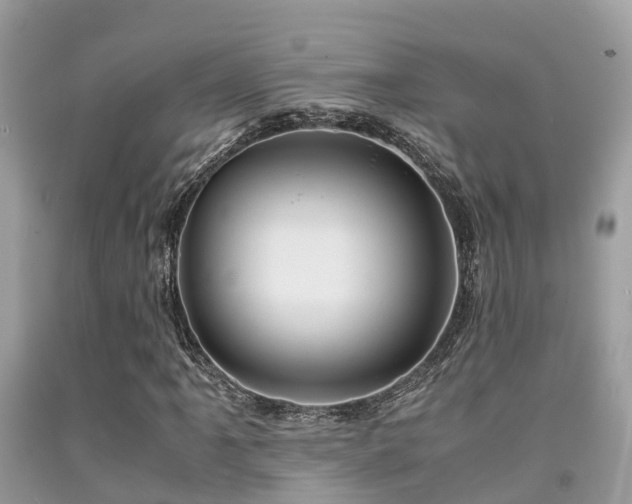 X0000091961061200709061257