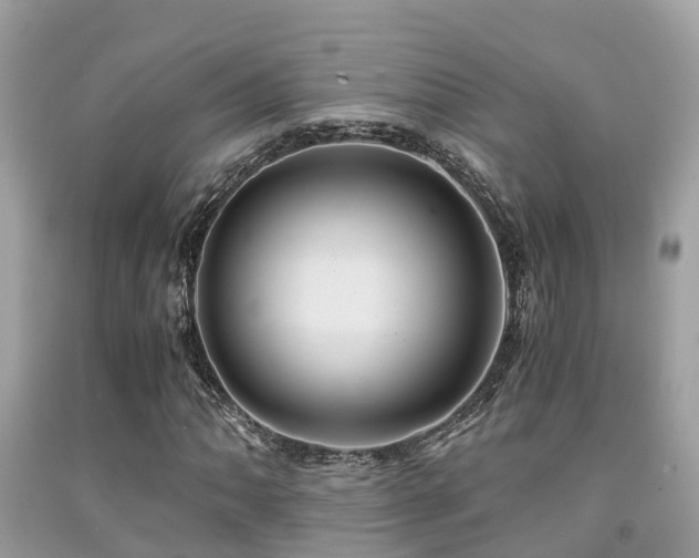 X0000091961062200709061257