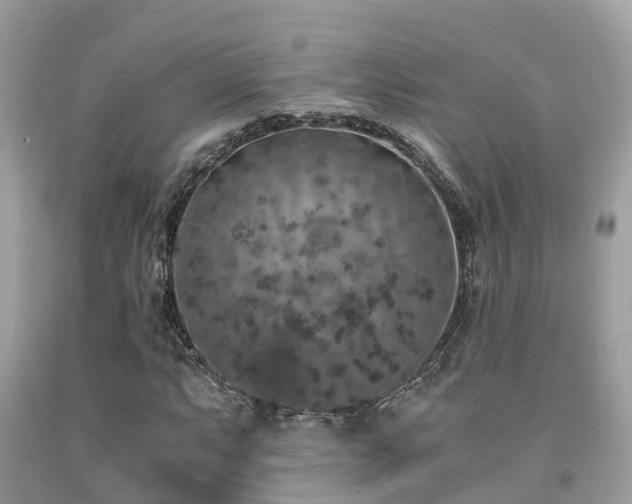 X0000091961063200709061257