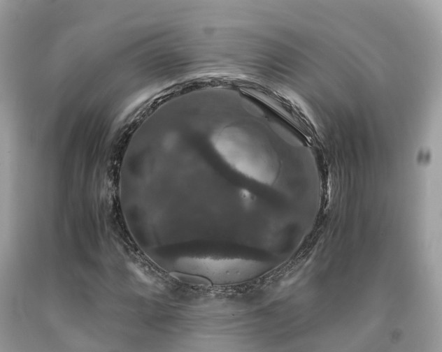 X0000091961064200709061257