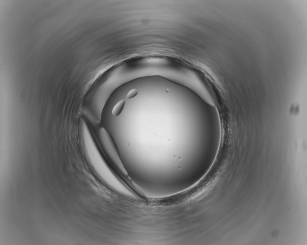 X0000091961065200709061257