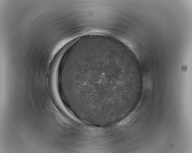 X0000091961066200709061257