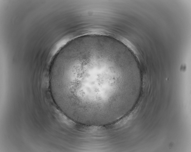 X0000091961067200709061257