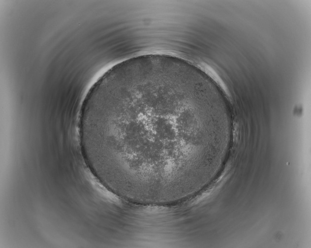 X0000091961068200709061257