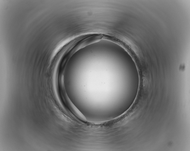 X0000091961069200709061257