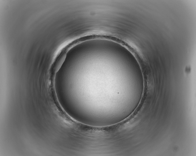 X0000091961070200709061257