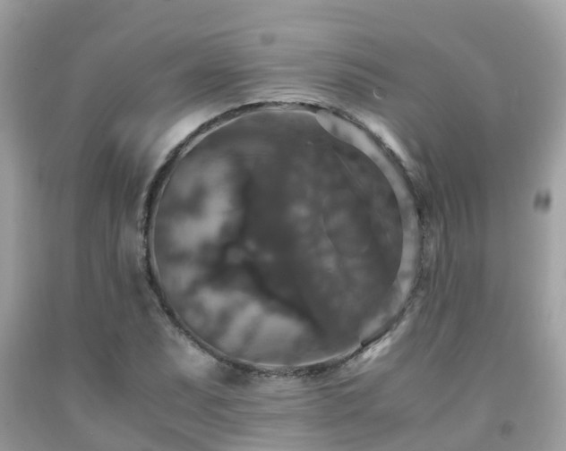 X0000091961071200709061257