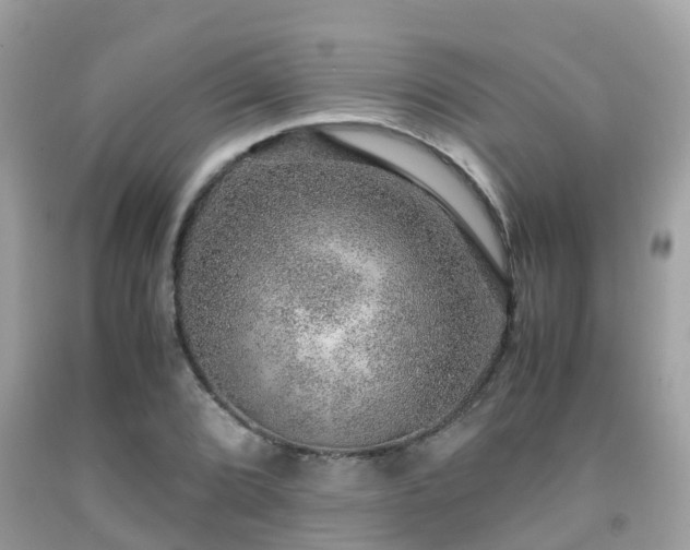 X0000091961072200709061257