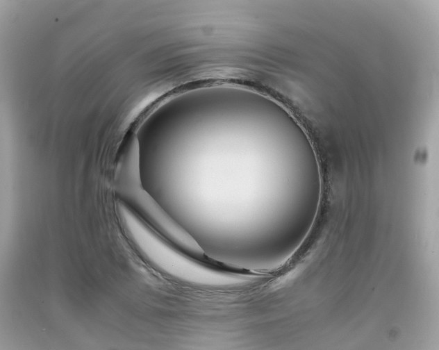 X0000091961073200709061257