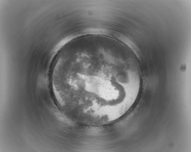 X0000091961074200709061257