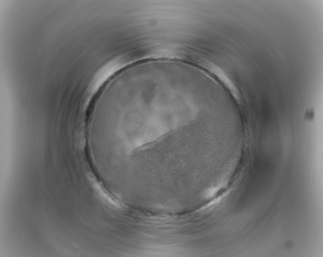 X0000091961075200709061257