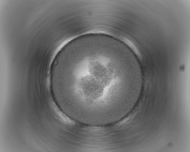 X0000091961076200709061257