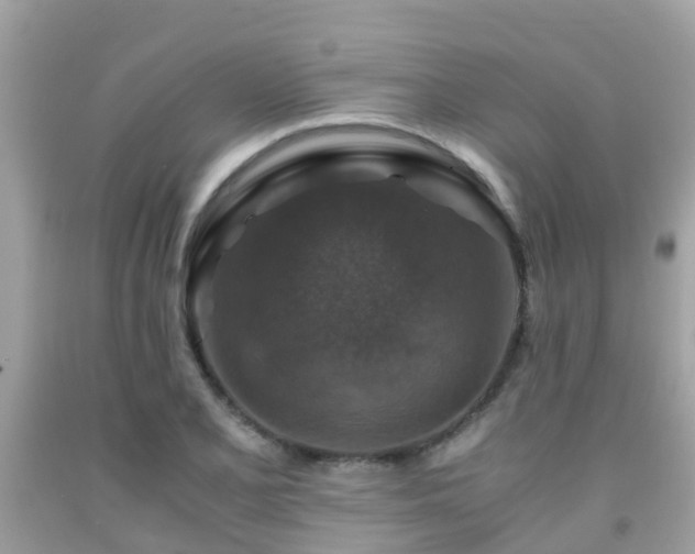 X0000091961077200709061257