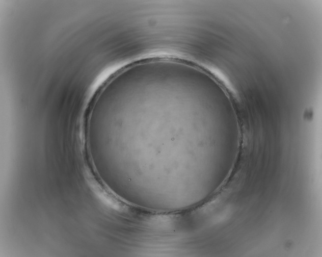 X0000091961078200709061257